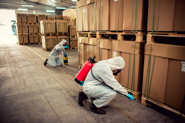 Best Wildlife Control Services  in Copiague, NY
