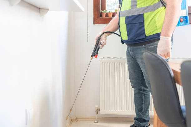 Best Termite Control Services  in Copiague, NY