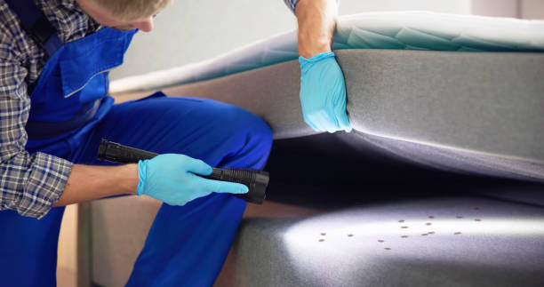 Best Commercial Pest Control Services  in Copiague, NY